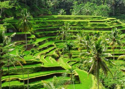 Kracht van Kleur - Katrín Gudmundsson - Kleurenreis Bali